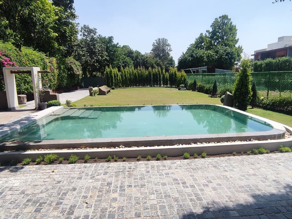 Residential pool installation highlighting water clarity and premium finish